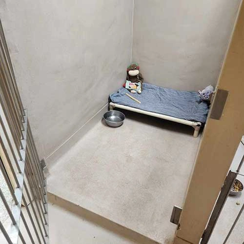 An empty room with gray concrete walls and a bare floor. A small metal bed with a blue blanket is placed against one wall. Beside the bed, there is a small bowl and a toy monkey.