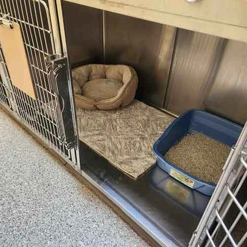 An animal enclosure featuring a plush dog bed on a beige mat next to a blue litter box filled with sandy material. The background is made of stainless steel, and the cage has a metal grate door.