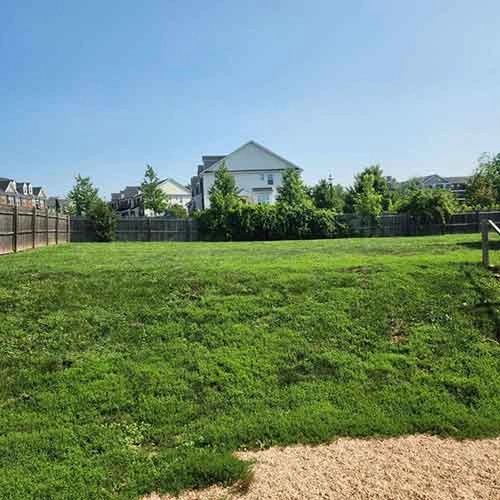A grassy green field enclosed by a wooden fence, with several trees lining the background. In the distance, a two-story white house is visible alongside other residential buildings under a clear blue sky.