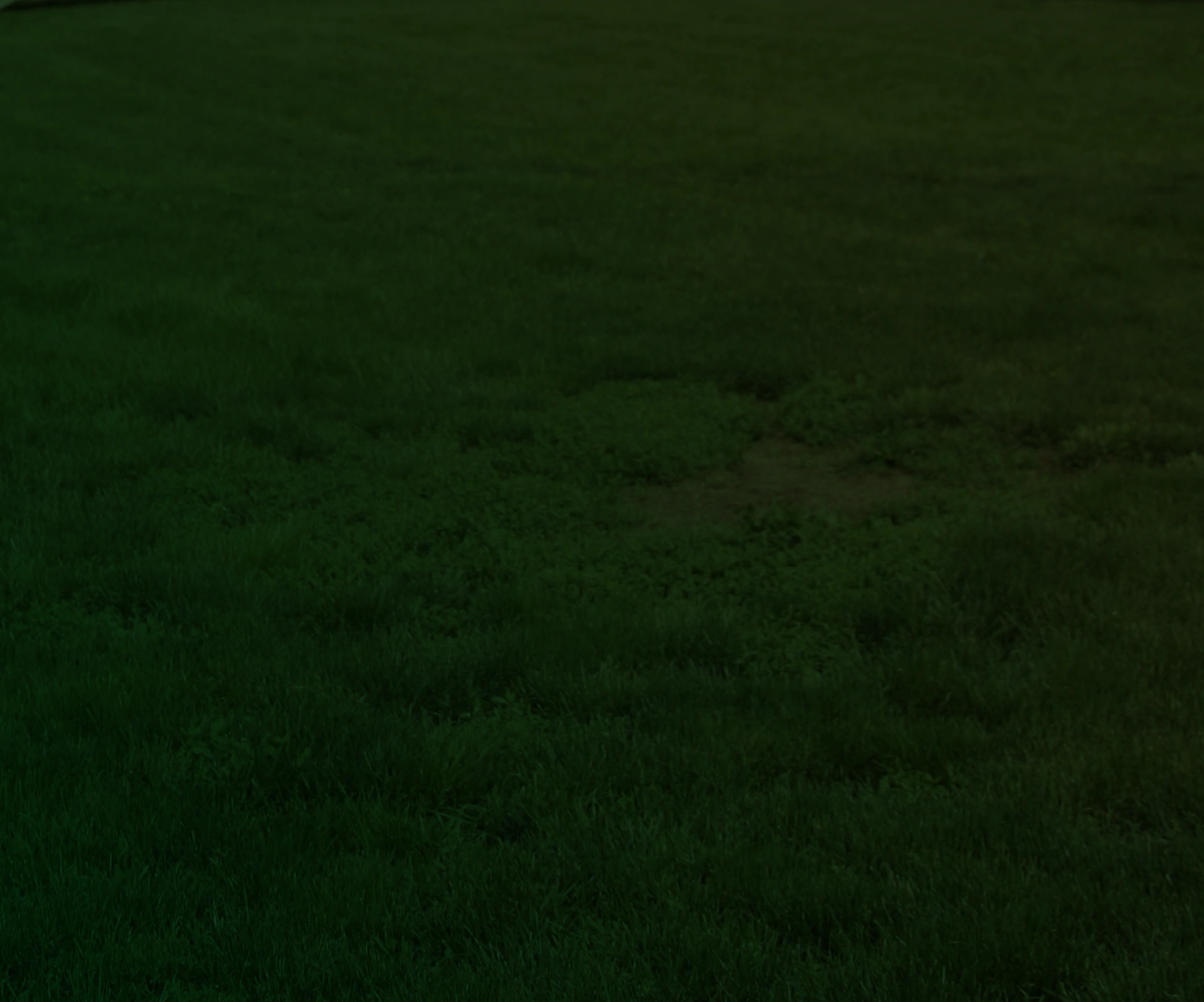 Green grassy field background with natural lawn texture.