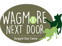 Wagmore Logo