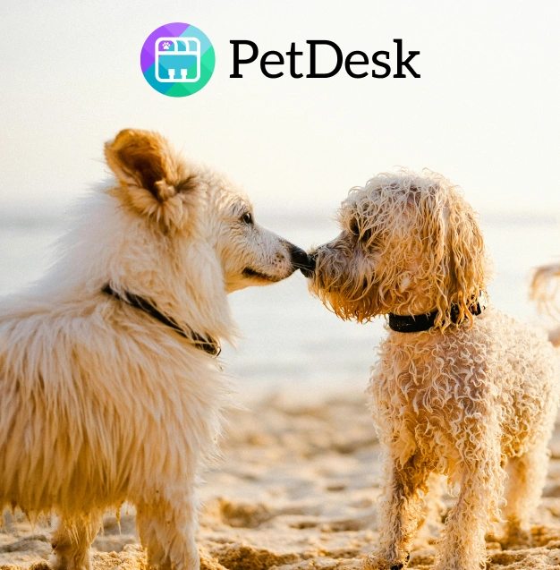 Two dogs engage affectionately at the beach, with a fluffy white dog on the left and a curly-haired dog on the right. The background shows a sandy beach and soft sunlight, while the logo of PetDesk is featured above the dogs.